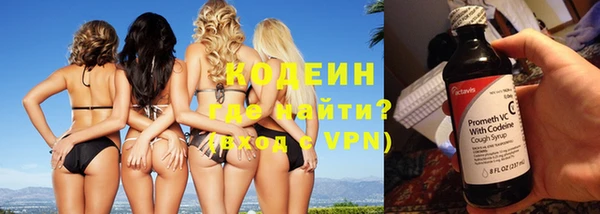 сатива Горняк