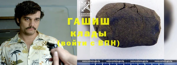 сатива Горняк
