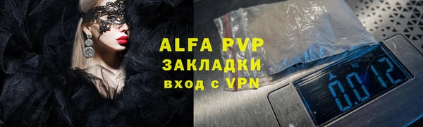 сатива Горняк