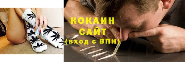 PSILOCYBIN Горнозаводск