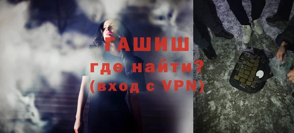 сатива Горняк