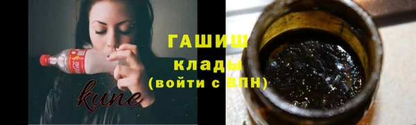 сатива Горняк