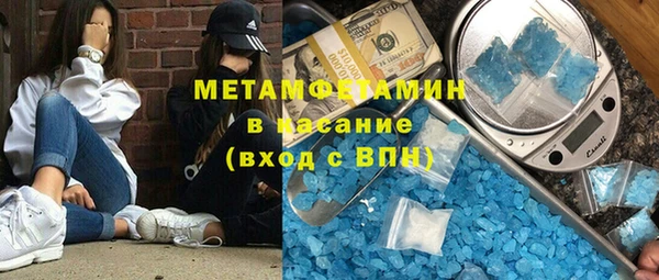 сатива Горняк