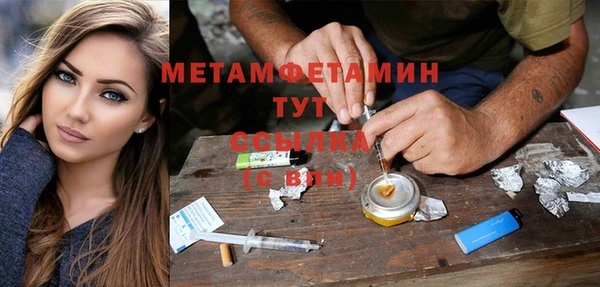 сатива Горняк
