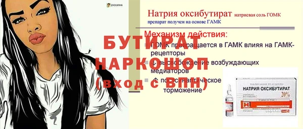 сатива Горняк