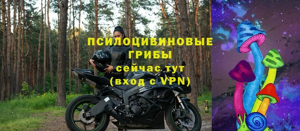 сатива Горняк