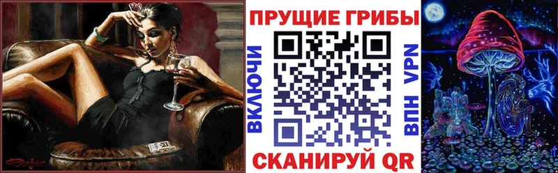 купить наркотики цена  Кизляр  блэк спрут ONION  Галлюциногенные грибы Magic Shrooms 