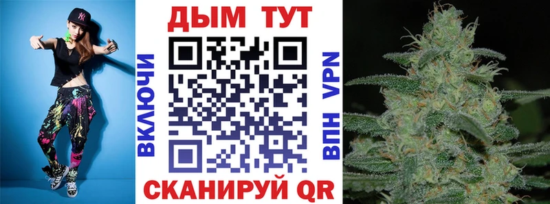 Канабис план Кизляр